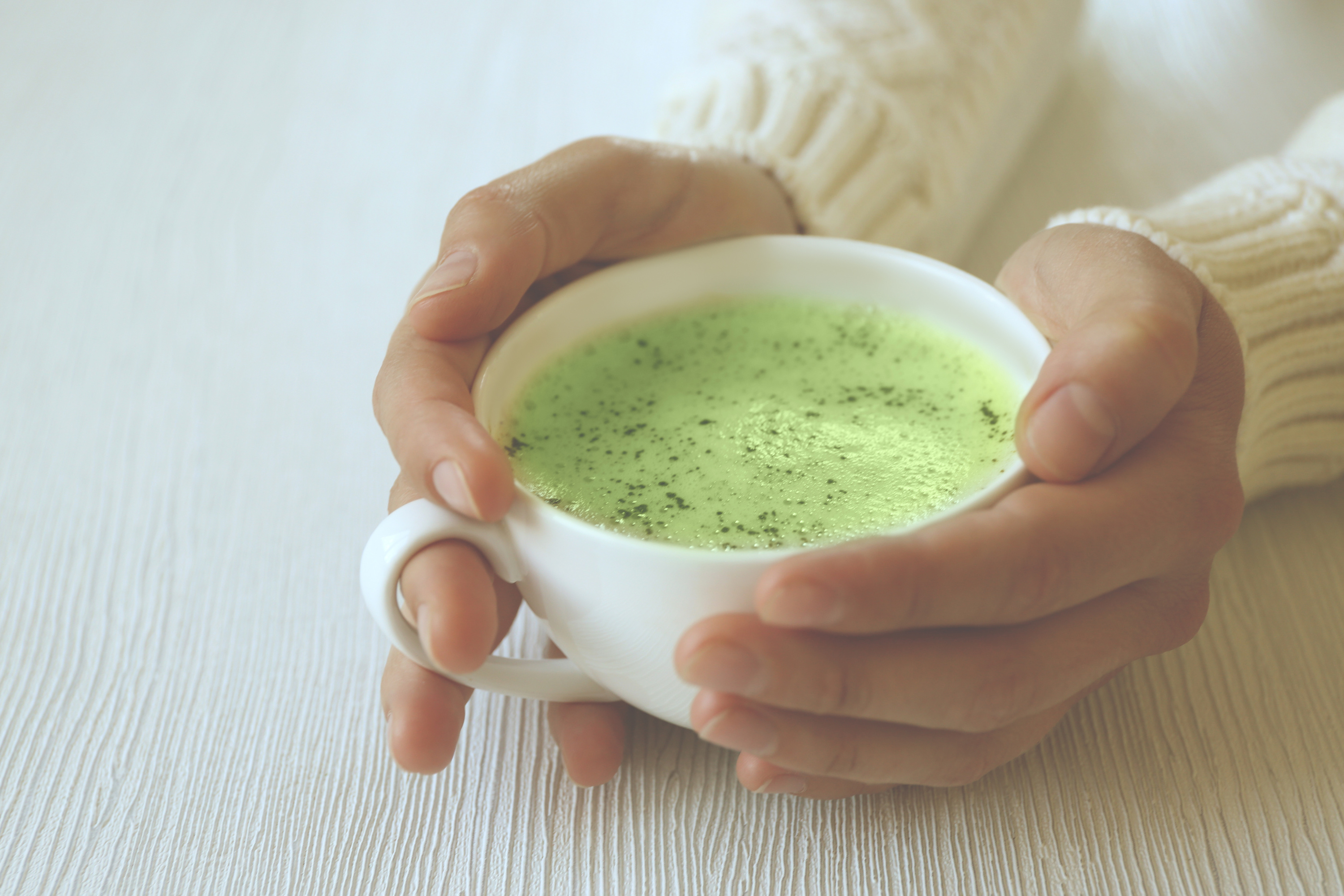 Tirée des feuilles de Camellia sinensis, la poudre de matcha est traditionnellement utilisée pour faire du thé. © Africa Studio, Adobe Stock